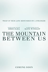 Stranded after a tragic plane crash, two strangers must forge a connection to survive the extreme elements of a remote snow covered mountain.