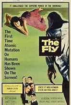 The Fly