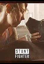 Stunt Fighter