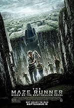 The Maze Runner