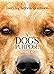 A Dog's Purpose (2017)