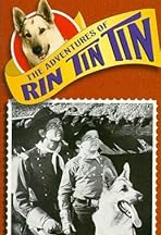 The Adventures of Rin Tin Tin