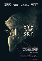 Eye in the Sky