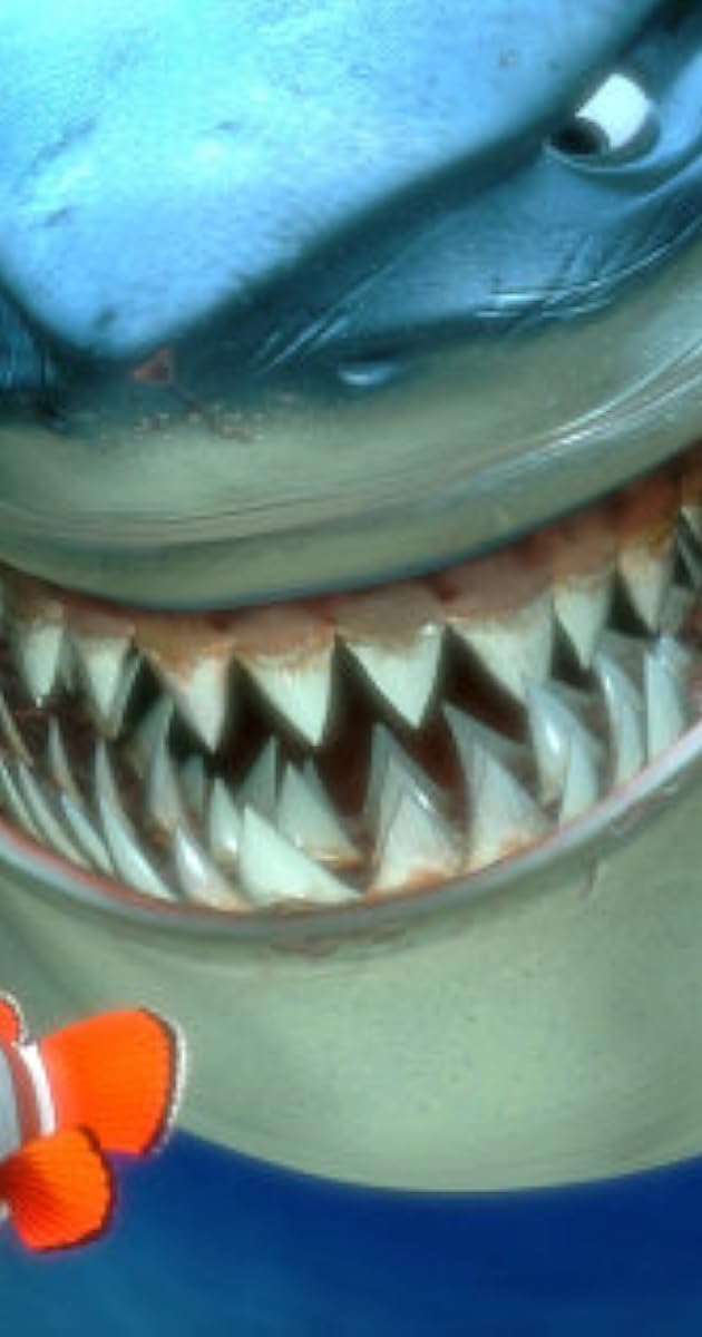 Pictures & Photos from Finding Nemo (2003) IMDb