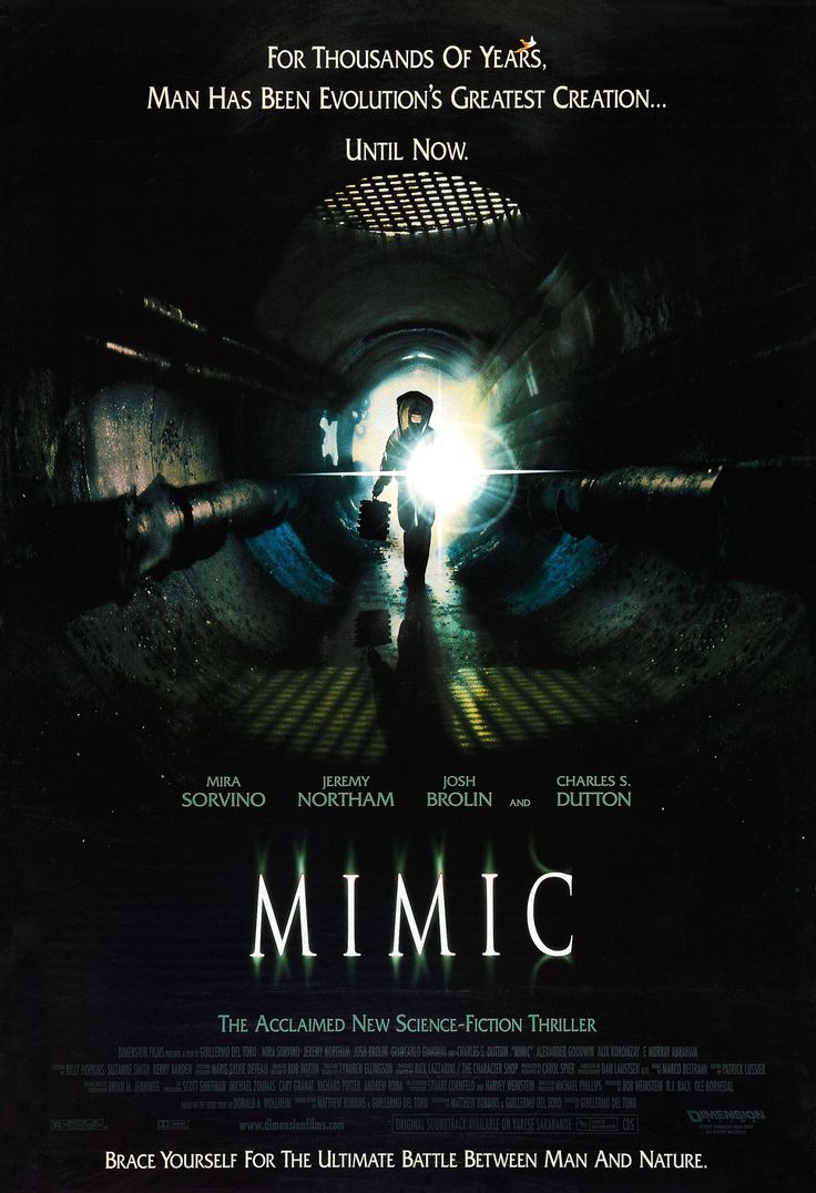 MLSBD.COM - MOVIE LINK STORE BD