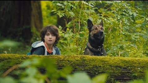 Max 2: White House Hero (2017) - IMDb