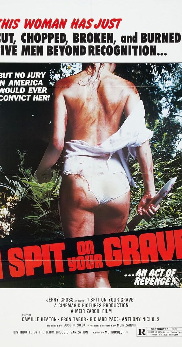 I Spit On Your Grave 1 Stream Deutsch