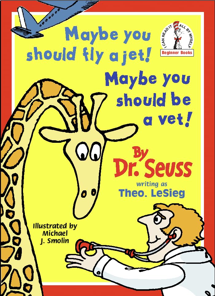 Maybe You Should Fly a Jet! book cover