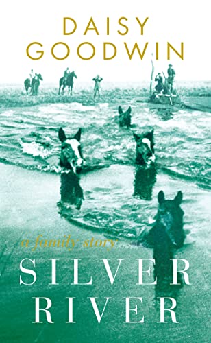 Silver River book cover