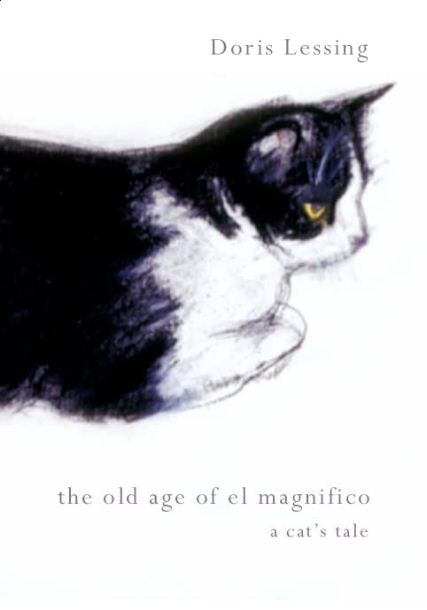 Old Age of El Magnifico book cover