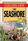 The Seashore