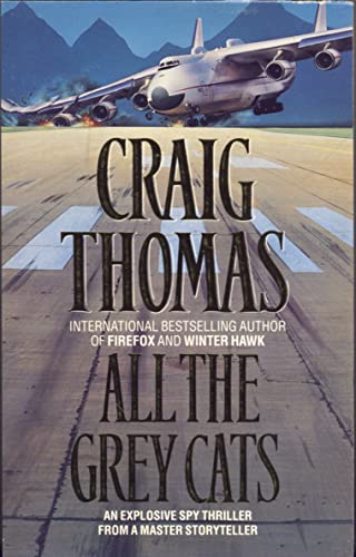All The Grey Cats / Wildcat book cover