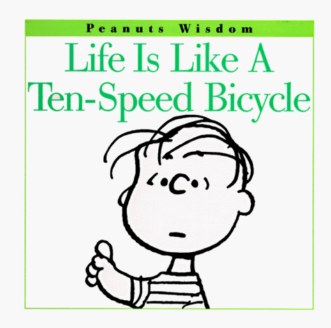 Life Is Like a Ten-Speed Bicycle book cover