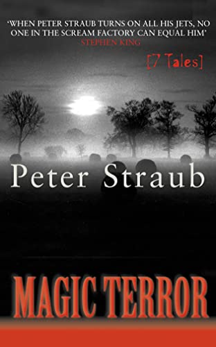 Magic Terror book cover