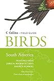Birds Of South America