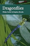 Dragonflies
