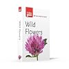 Wild Flowers Photoguide (Collins Gem)