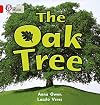 The Oak Tree (Collins Big Cat)