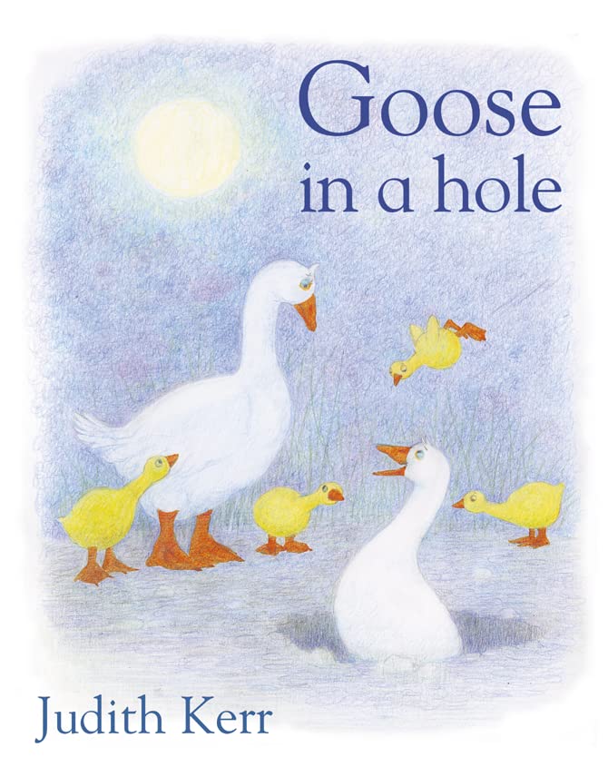 Goose In A Hole book cover