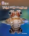 Weird Little Monsters (Collins Big Cat) (Bk. 6)