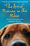 Art Of Racing In The Rain