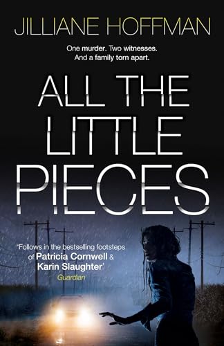 All the Little Pieces book cover