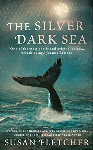 The Silver Dark Sea book cover
