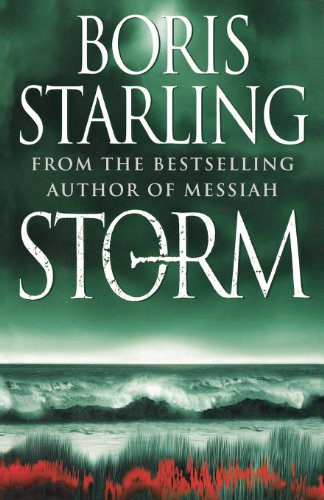 Storm book cover