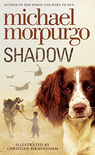 Shadow book cover