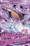 Stormy Skies (Silver Dolphins, Book 8)
