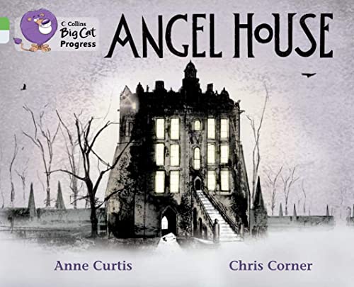 Angel House (By: Anne Curtis) cover
