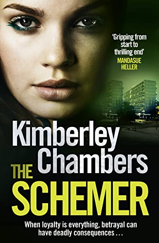 The Schemer book cover