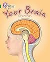 Your Brain (Collins Big Cat)