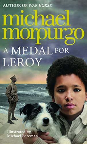 A Medal for Leroy book cover