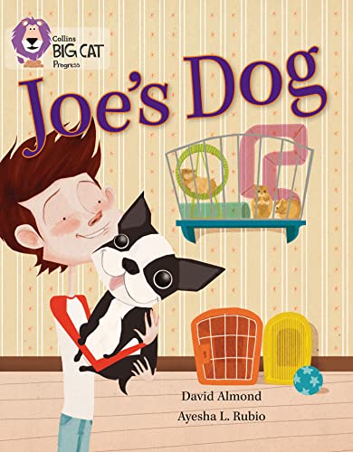 Joe's Dog (By: David Almond) cover