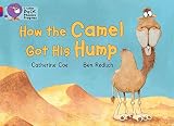 Amazon cover image
