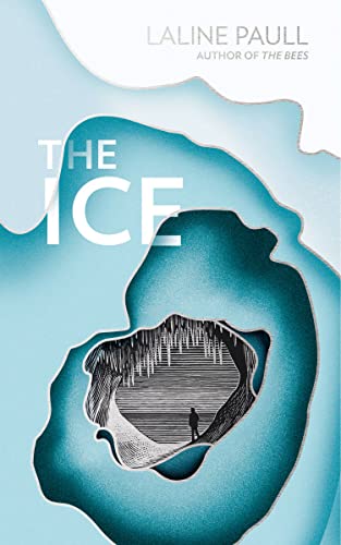 The Ice book cover