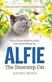 Alfie The Doorstep Cat