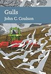 Gulls