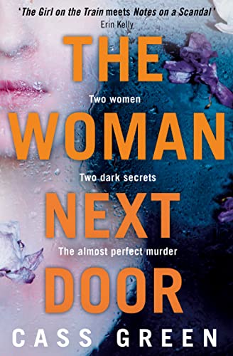 The Woman Next Door book cover