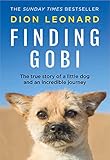 Finding Gobi Main Edition The True Story Of A Little Dog And An Incredible Journey