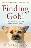 Finding Gobi Main Edition