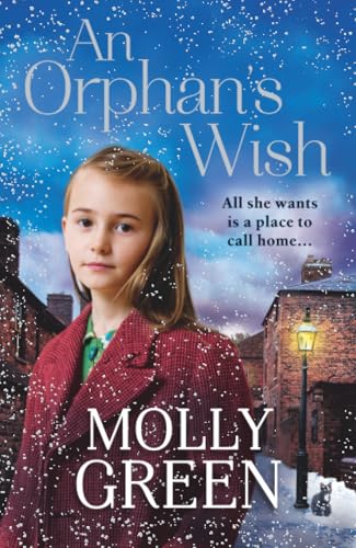 An Orphan’s Wish cover