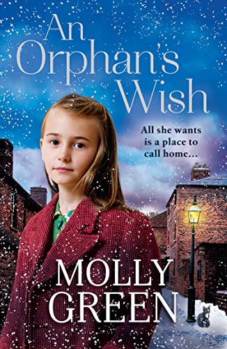 An Orphan’s Wish book cover