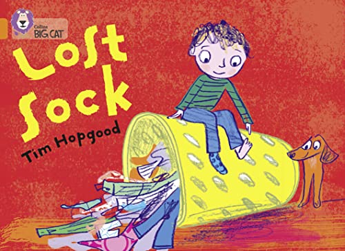 Cover of The Lost Sock