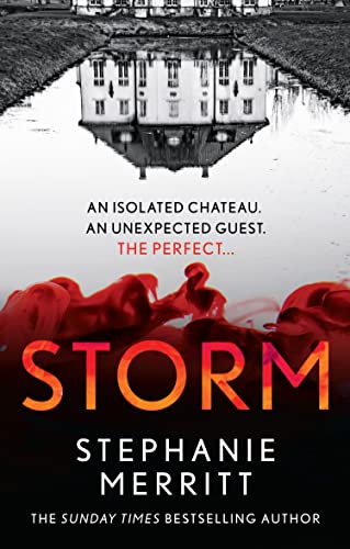 Storm book cover
