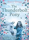 The Thunderbolt Pony