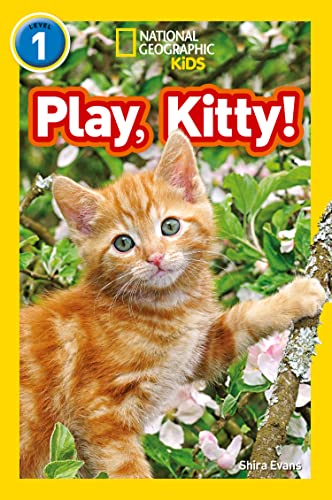 Cover of Play, Kitty!