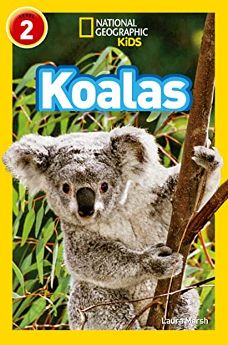 Cover of Koalas