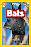 Bats Level 3